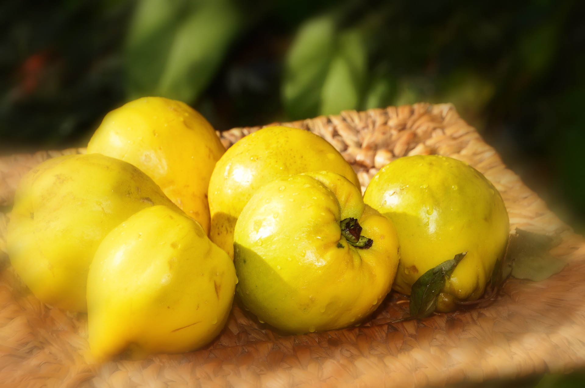 Желтые фрукты названия. Айва ягода. Айва фрукт вкус. Желтый фрукт. Маленький желтый фрукт.